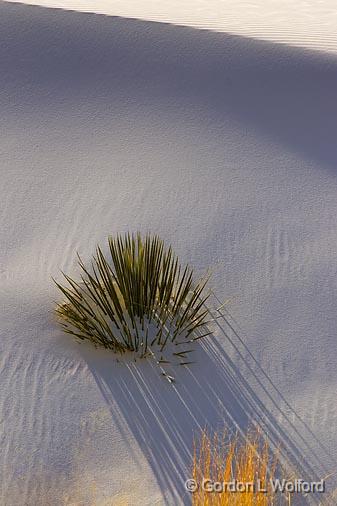White Sands_31727.jpg - Photographed at the White Sands National Monument near Alamogordo, New Mexico, USA.
